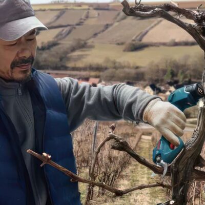 Máy cắt cành dùng pin Bosch Pro Pruner (06019K10K1)