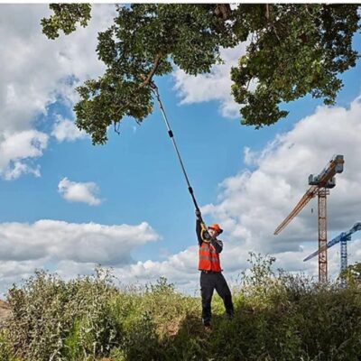 Máy cưa cành trên cao Dewalt DCMPS567N-XJ