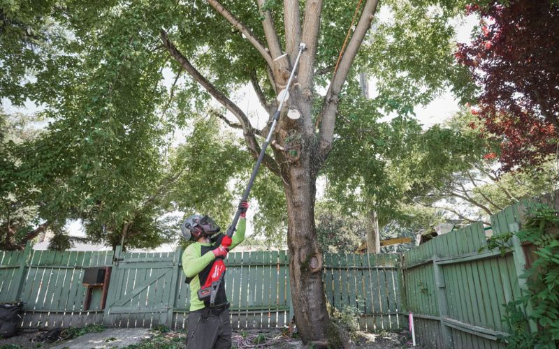 Máy cưa cành trên cao dùng pin Milwaukee M18 FTPS30-0