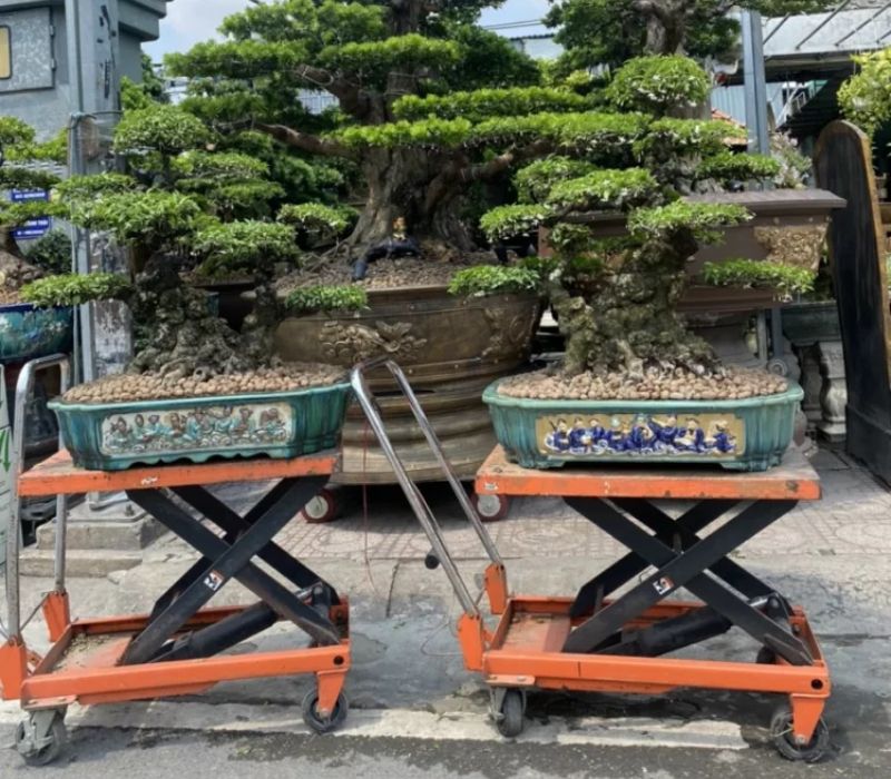 Xe nâng mặt bàn 150kg Ssangyong