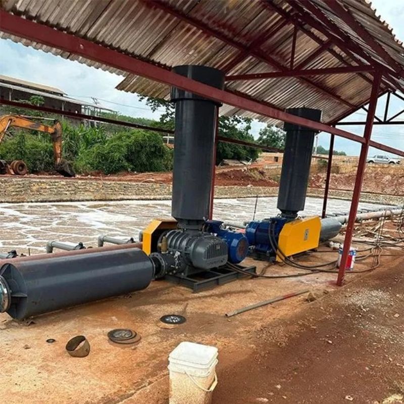 Máy thổi khí Longtech LT-100